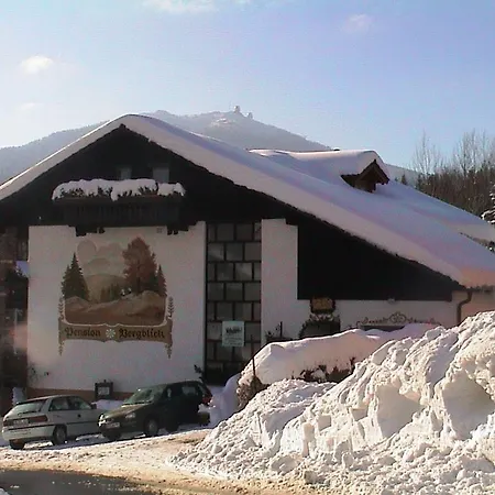 Pension Bergblick-3