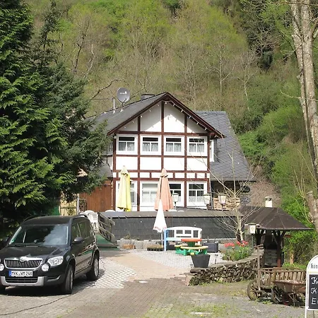 Pension&Apartments Linkemühle-3