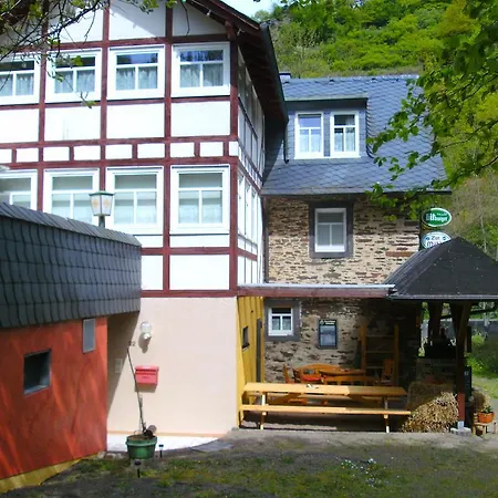 Pension&Apartments Linkemühle-2