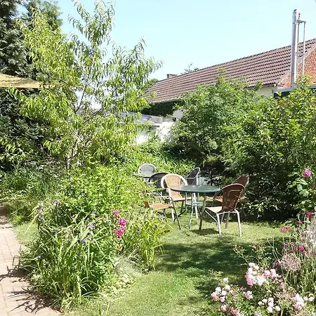 Kleine Pension-2
