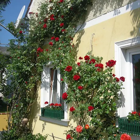 Pension Arkadenhof-2