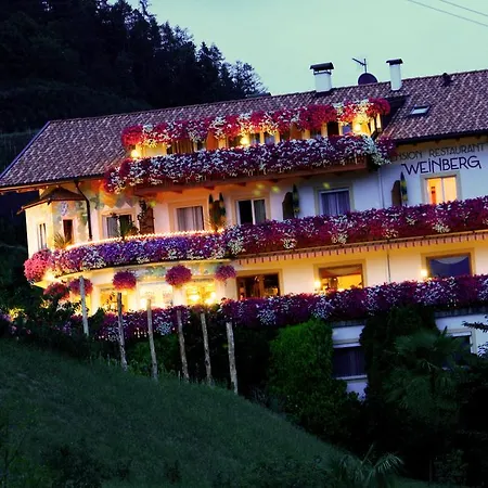 Pension Weinberg-2