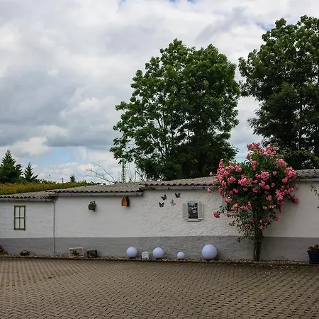 Hotel-Pension Am Rosarium-2