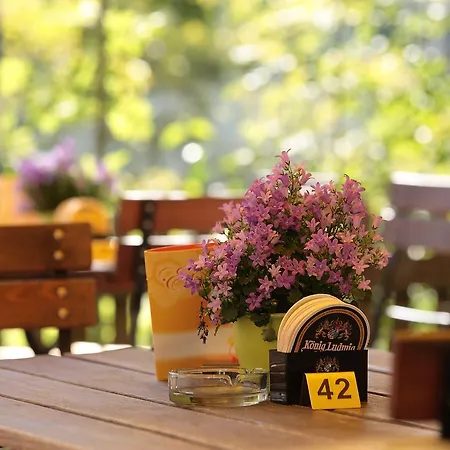 Gasthof Roessle-2