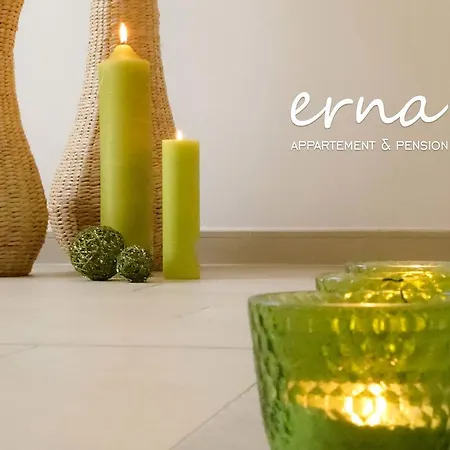 Pension Apartment Erna-3