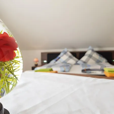 Hotel Rosenbach-2