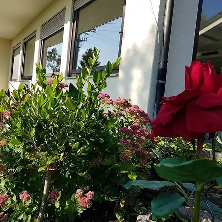 Hotel Rosenbach-3