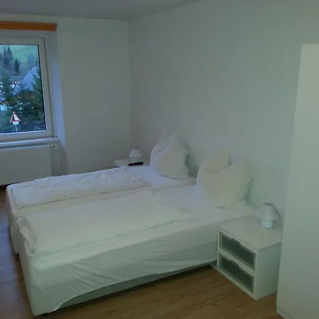 Pension Zur Alten Post-2
