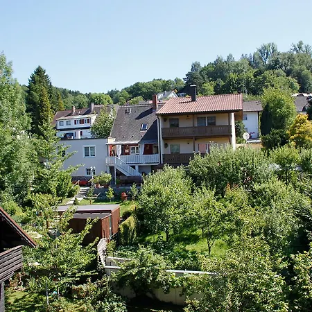 Pension Vicus-2
