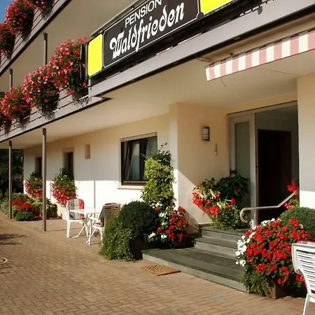 Pension Waldfrieden-2