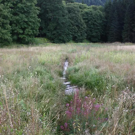 Obere Schweizerhütte-3