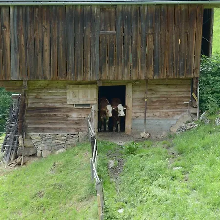 Bergpension-Ebental-3