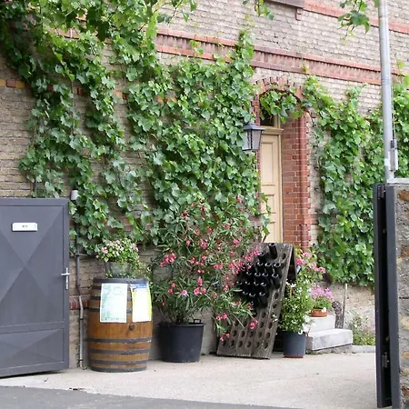 Weingut&Bioland Gästehaus Engelmann-Schlepper-2