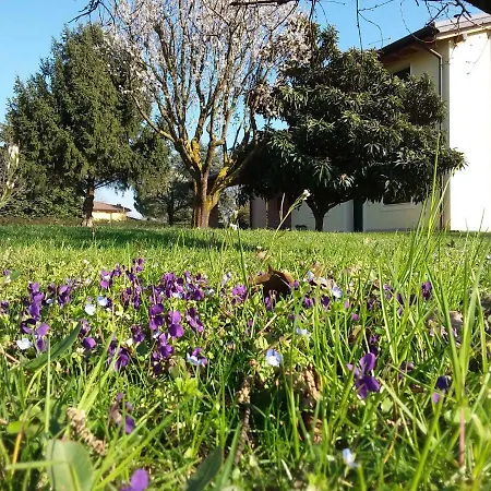 “Al Campo”-3