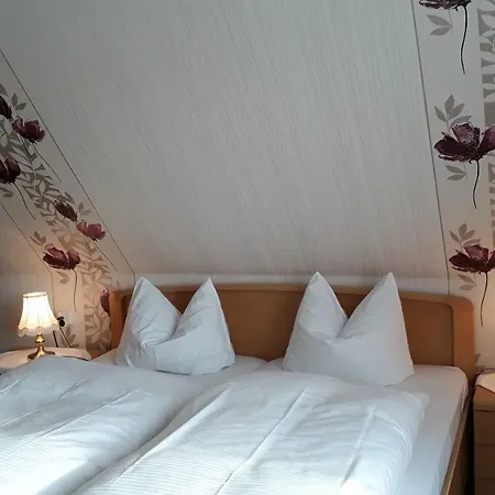 Hotel Amselhof-2