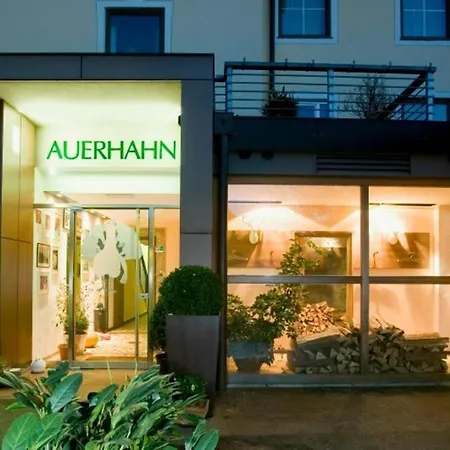 Hotel Restaurant Auerhahn-3