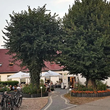 Lindenhof Liepgarten - Pension&Gaststätte-2
