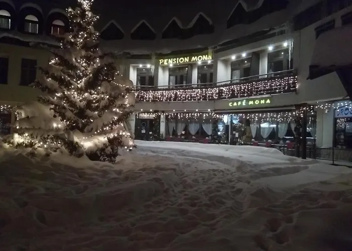Pension Mona Harrachov