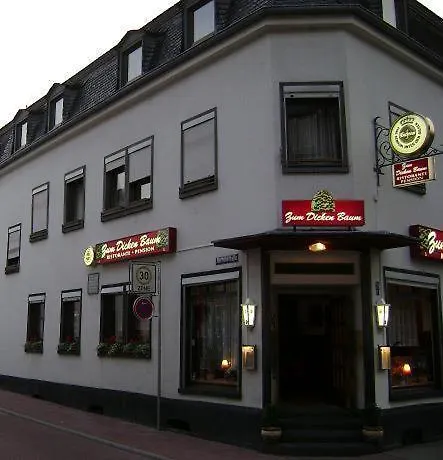 Hotel zum dicken Baum Mayen