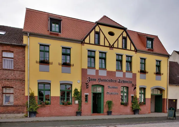 Gasthaus und Pension Zum Hauenden Schwein Wörlitz