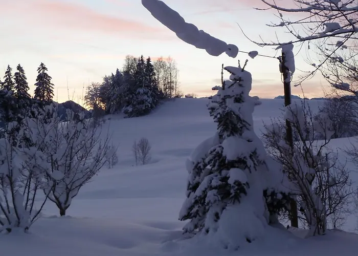 Hotel Haus Alpenhof Immenstadt im Allgäu
