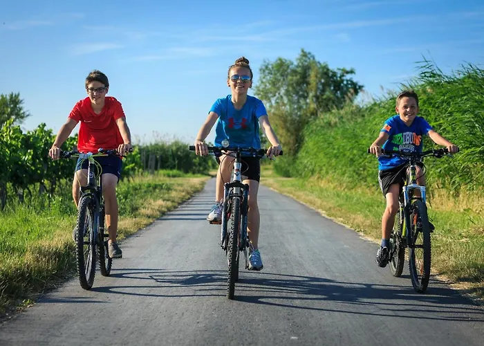 Pension Sonnenhof Mörbisch am See