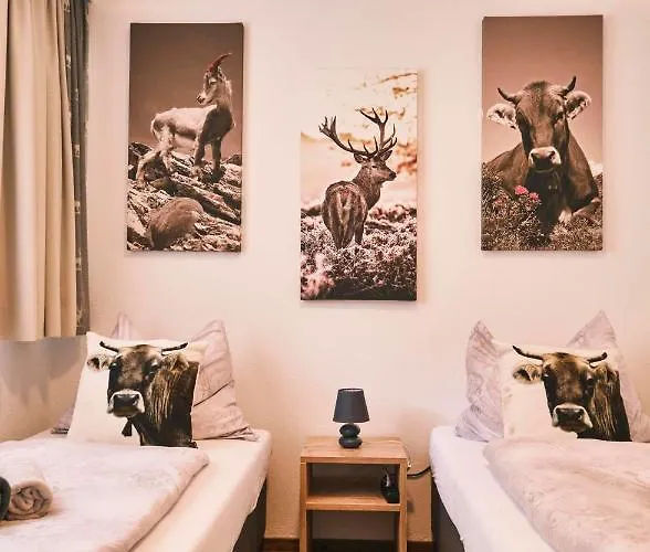 Pension Rainer Ellmau