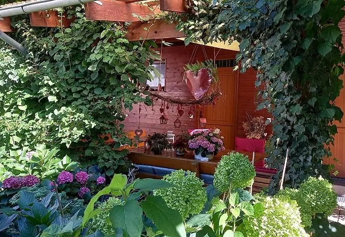 Pension Füg Dresden