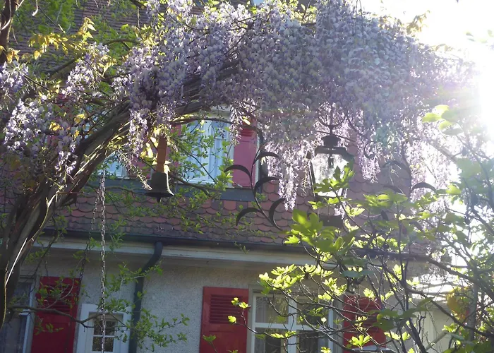 Pension Zur Rose Weil am Rhein