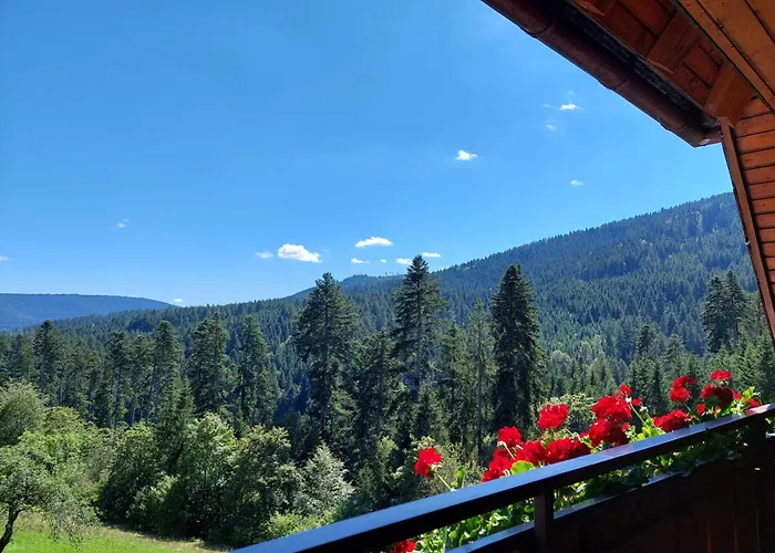 Landhaus Waldeshöhe Baiersbronn