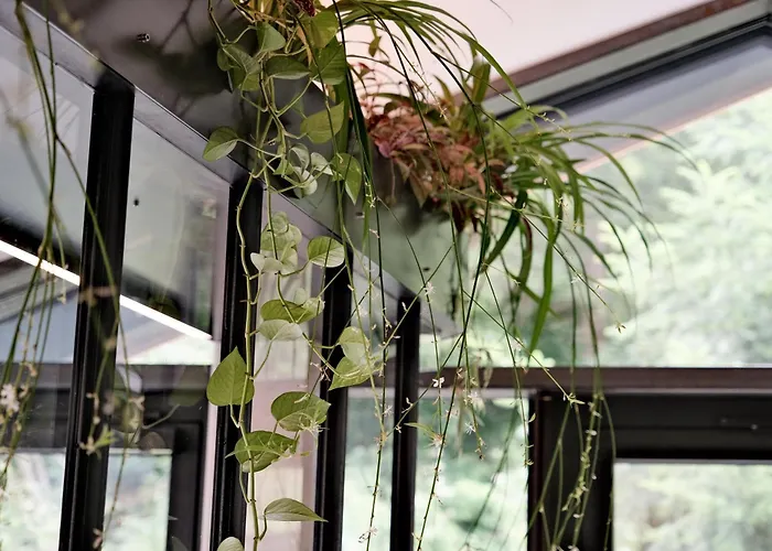 Pension Franziska Saalbach-Hinterglemm