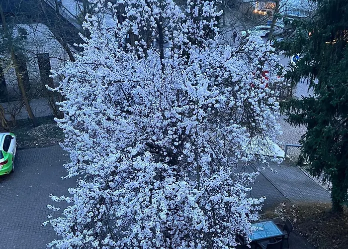 Hotel Wittgensteiner Hof Bad Laasphe