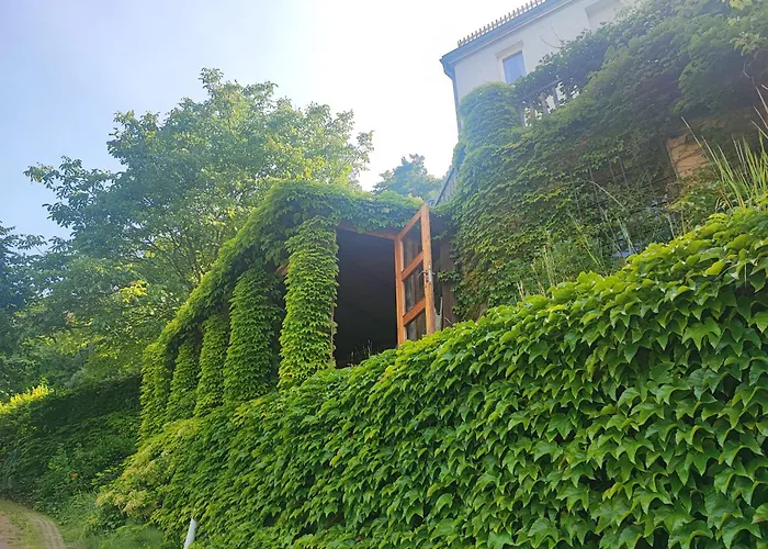 Penzion Privoz Hřensko