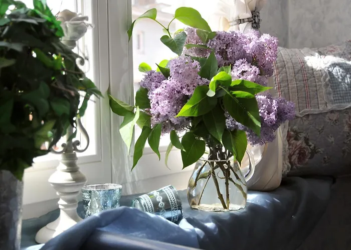 Pension Altstadt Mönch in top Lage direkt in der Altstadt incl Frühstück Stralsund