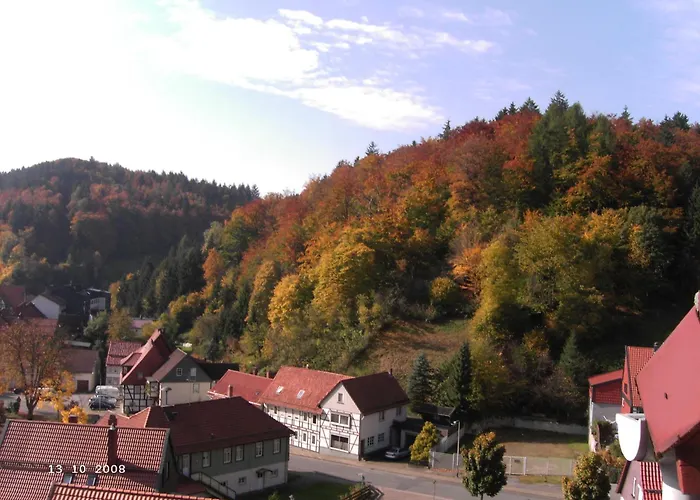 Hotel-Pension Waldhaus Bad Grund