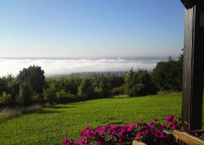 Zum Rebhang Bed&Breakfast Oestrich-Winkel