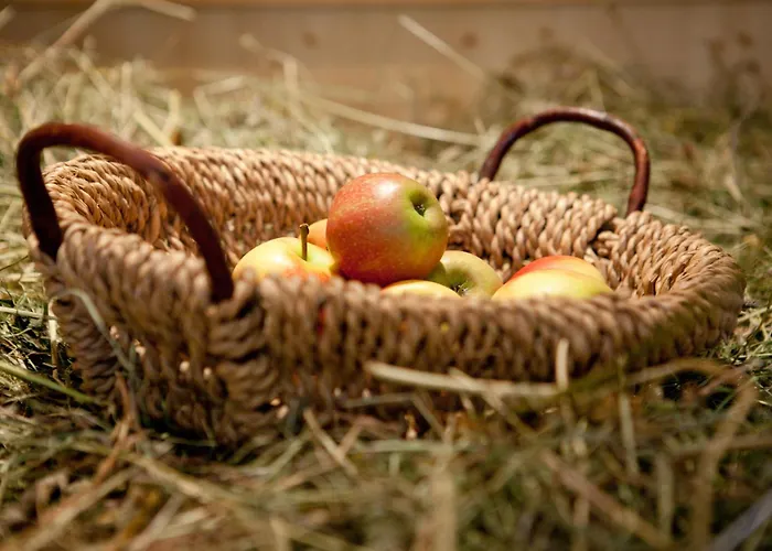 Pension Alwin Lech am Arlberg