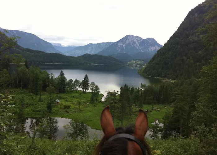 Hotel Reitbauernhof Schartner Altaussee