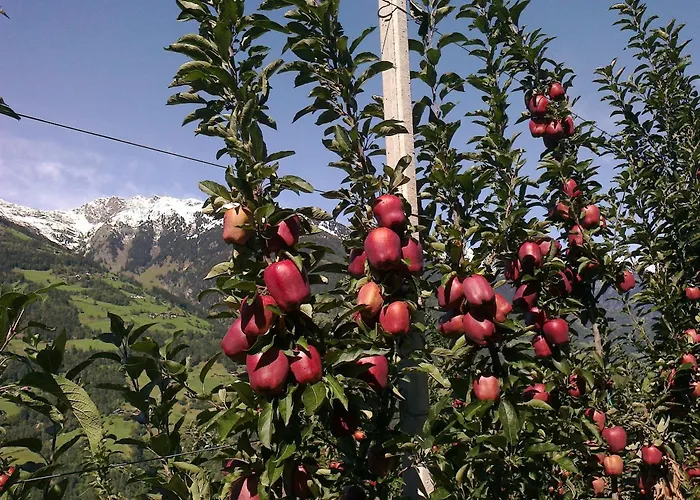 Zimmervermietung Gröberhof Schenna