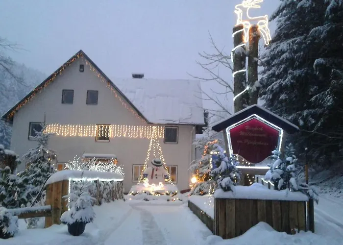 Waldpension Pfeiferhaus Warmensteinach