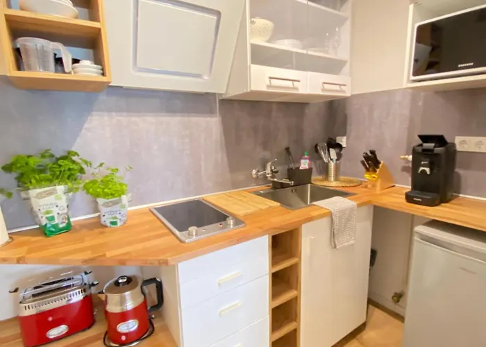 Schulz Apartments Zentrum Bonn