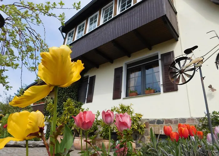 Pension Wiesenhof B&B Templin