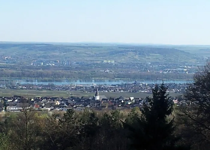 Zum Rebhang Bed&Breakfast Oestrich-Winkel