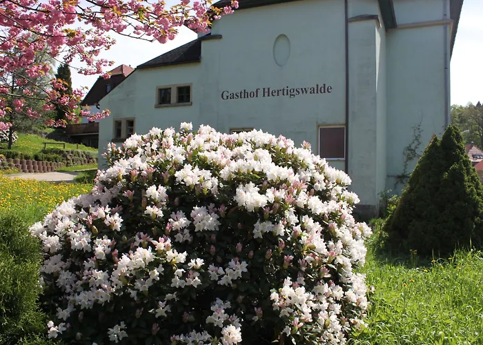 Gasthof Hertigswalde Sebnitz