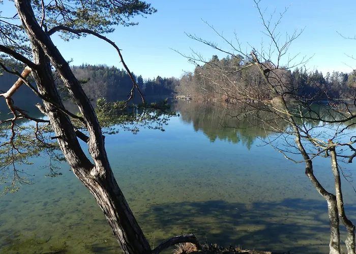 Hotel Alter Ziehbrunnen Bad Endorf