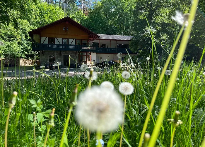Nina Apartments Mühlhausen