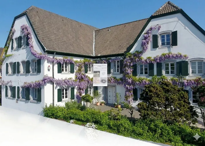 Rhein River Guesthouse - direkt am Rhein Leverkusen