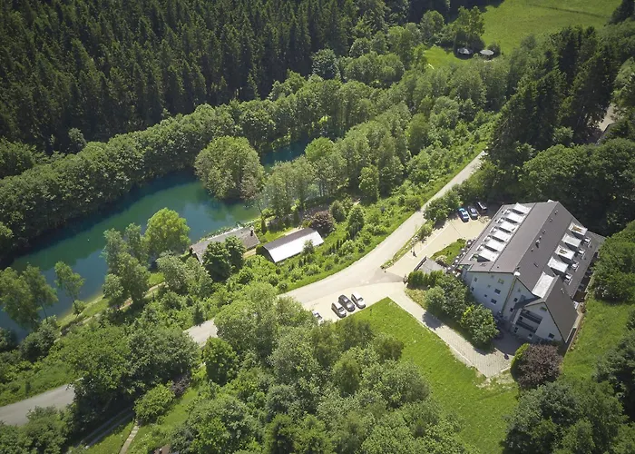 Waldhaus am See Willingen 