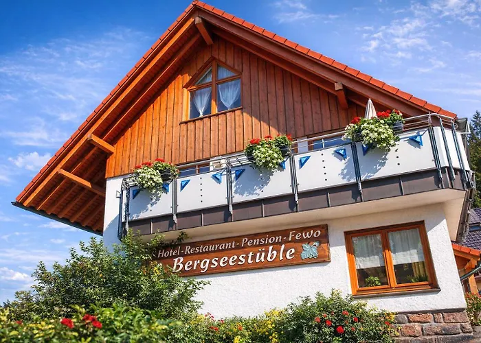 Self-check-in Ferienwohnungen&Apartments am Bergsee Triberg im Schwarzwald