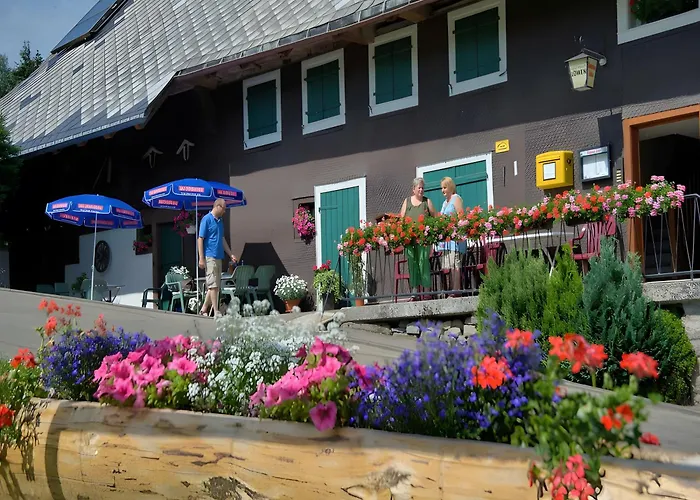 Gasthaus Pension Zum Löwen Grafenhausen